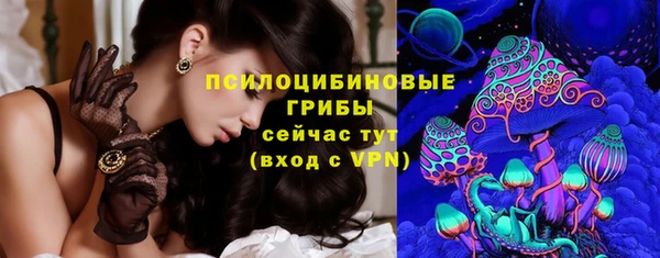 дмт Анжеро-Судженск