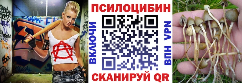 Галлюциногенные грибы мухоморы  Кочубеевское 